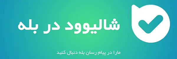 بله شالیوود